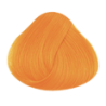 Directions Apricot  Hair Colour